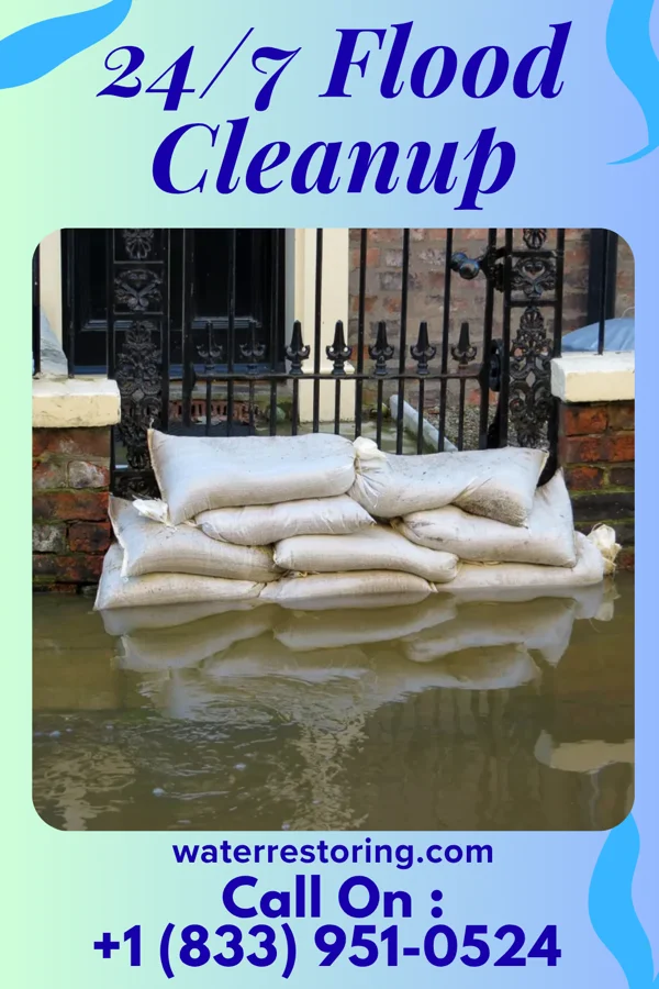 24/7 Flood Cleanup in La Grange, WY