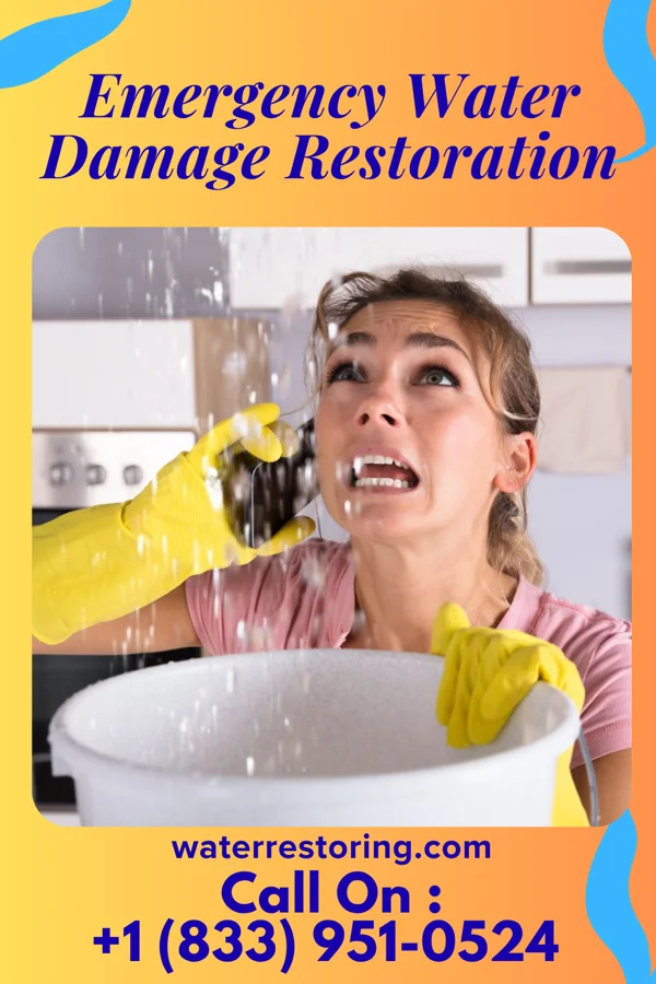 Emergency Water Damage Restoration in La Grange, WY
