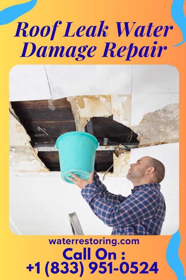 Roof Leak Water Damage Repair in La Grange, WY